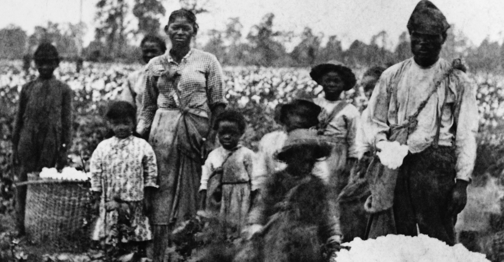 Escravos com algodão recém colhido - foto de history.com