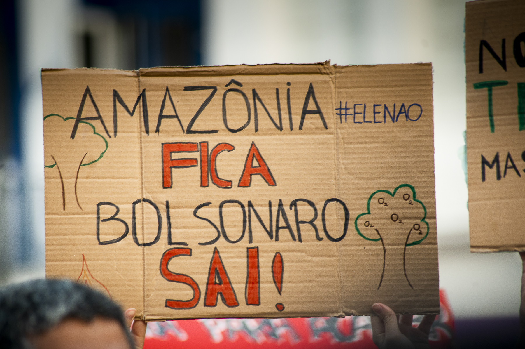 População pede a saída do presidente Jair Bolsonaro que é um incentivador da destruição ambiental