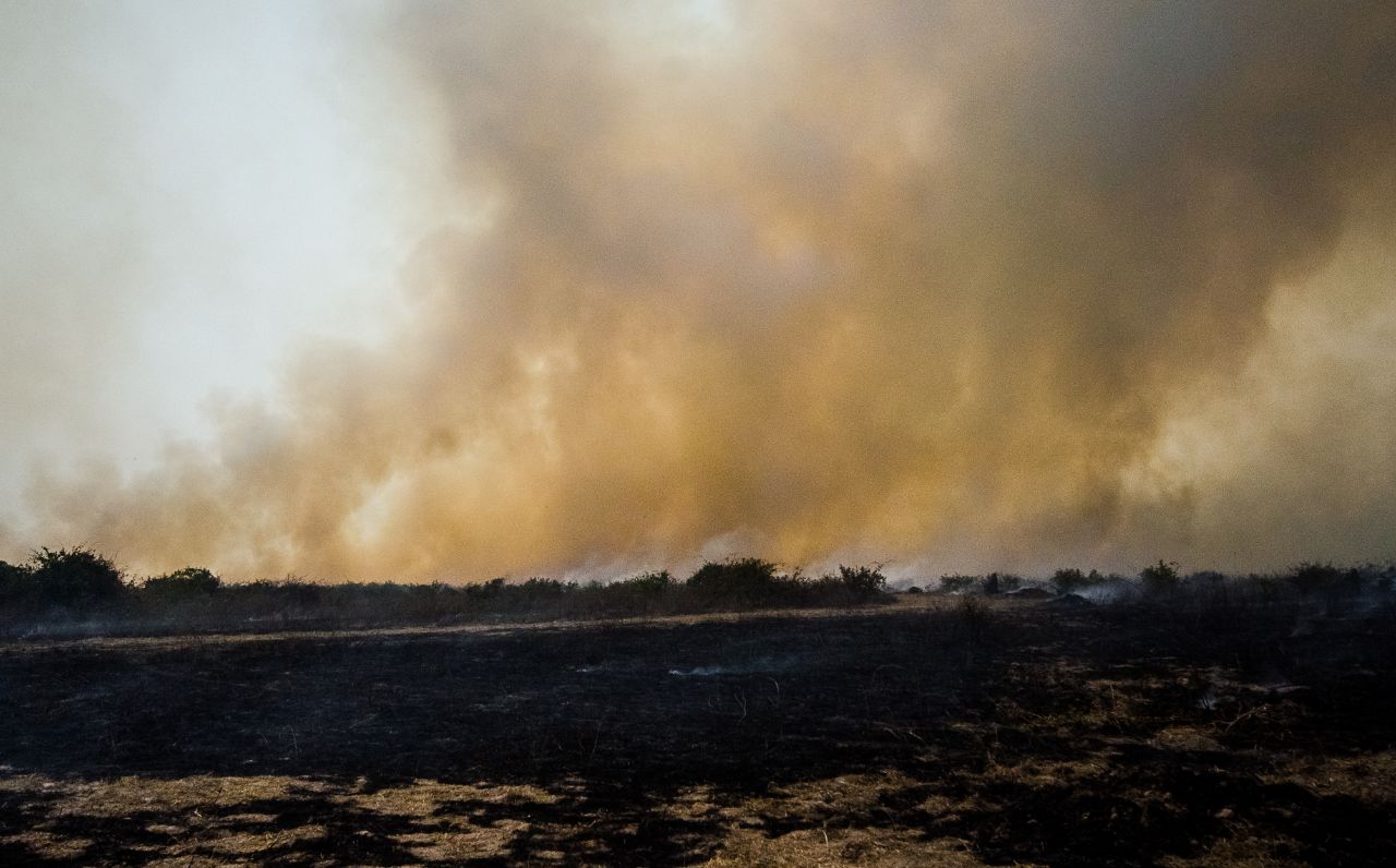 Pantanal em chamas - por João Paulo Guimarães / Jornalistas Livres