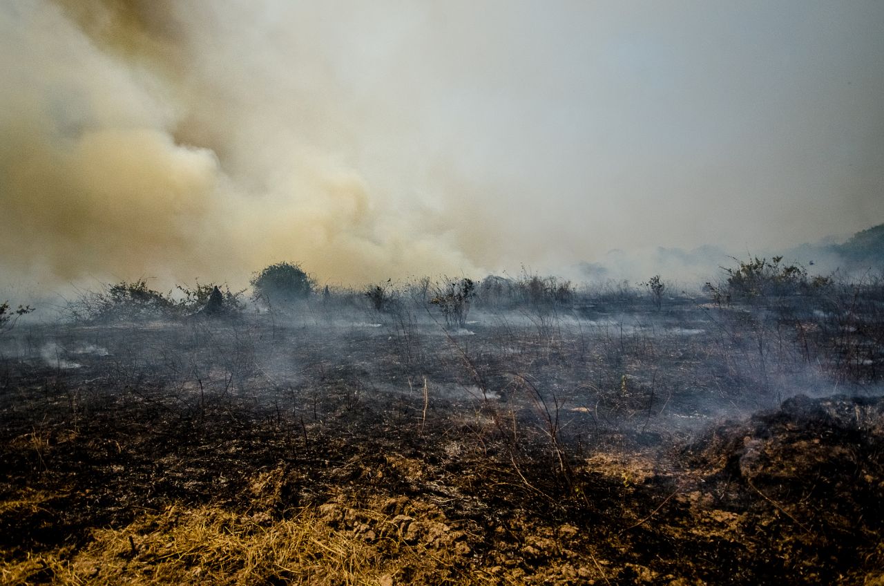 Pantanal em chamas – por João Paulo Guimarães / Jornalistas Livres