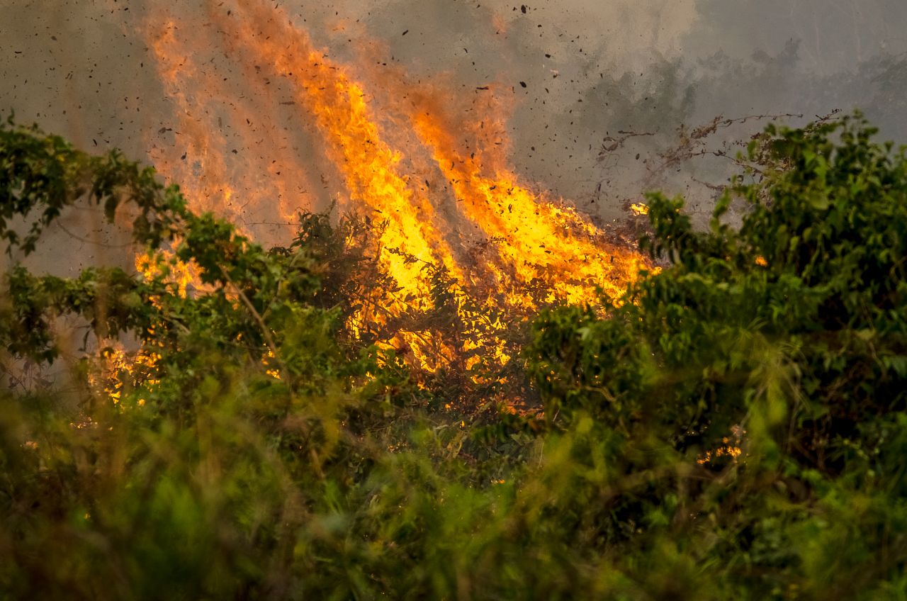 Pantanal em chamas – por João Paulo Guimarães / Jornalistas Livres