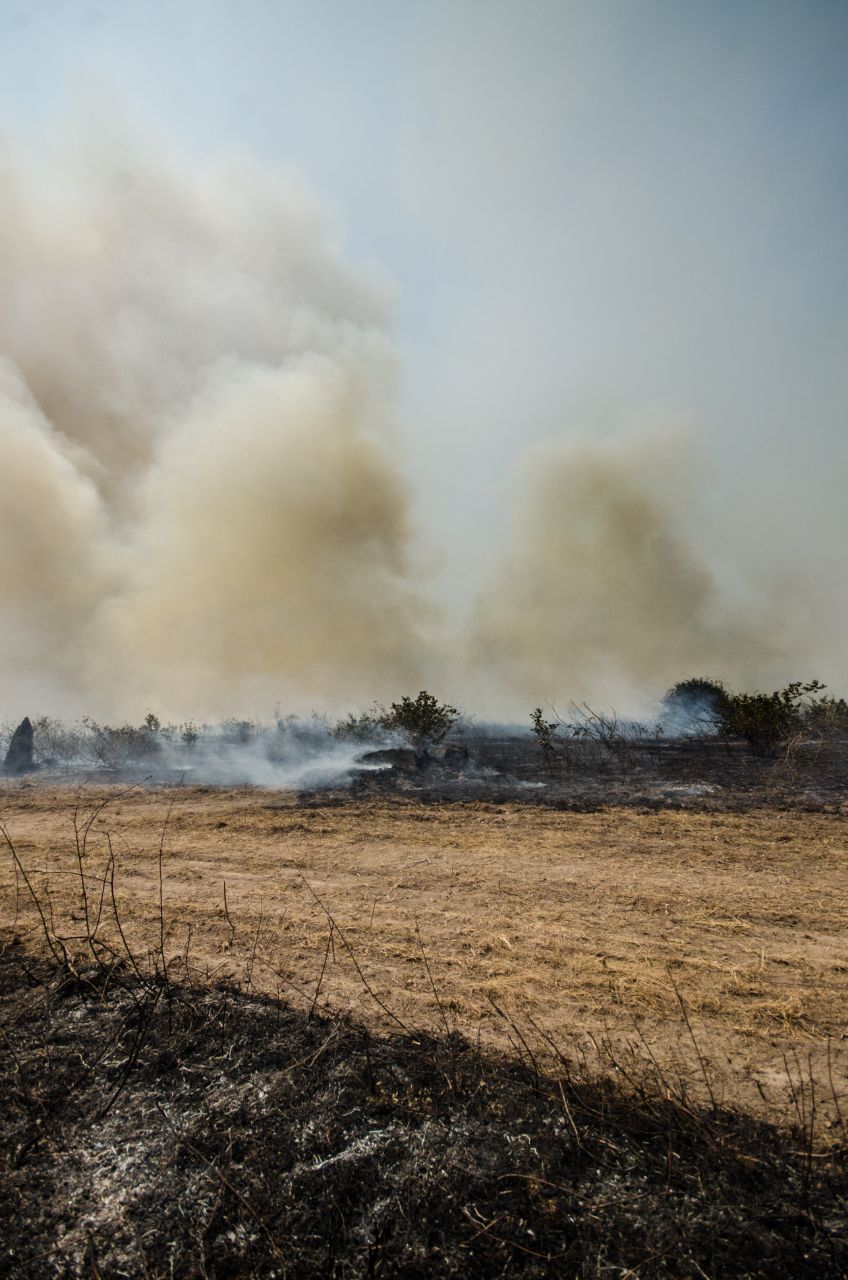 O Pantanal queima