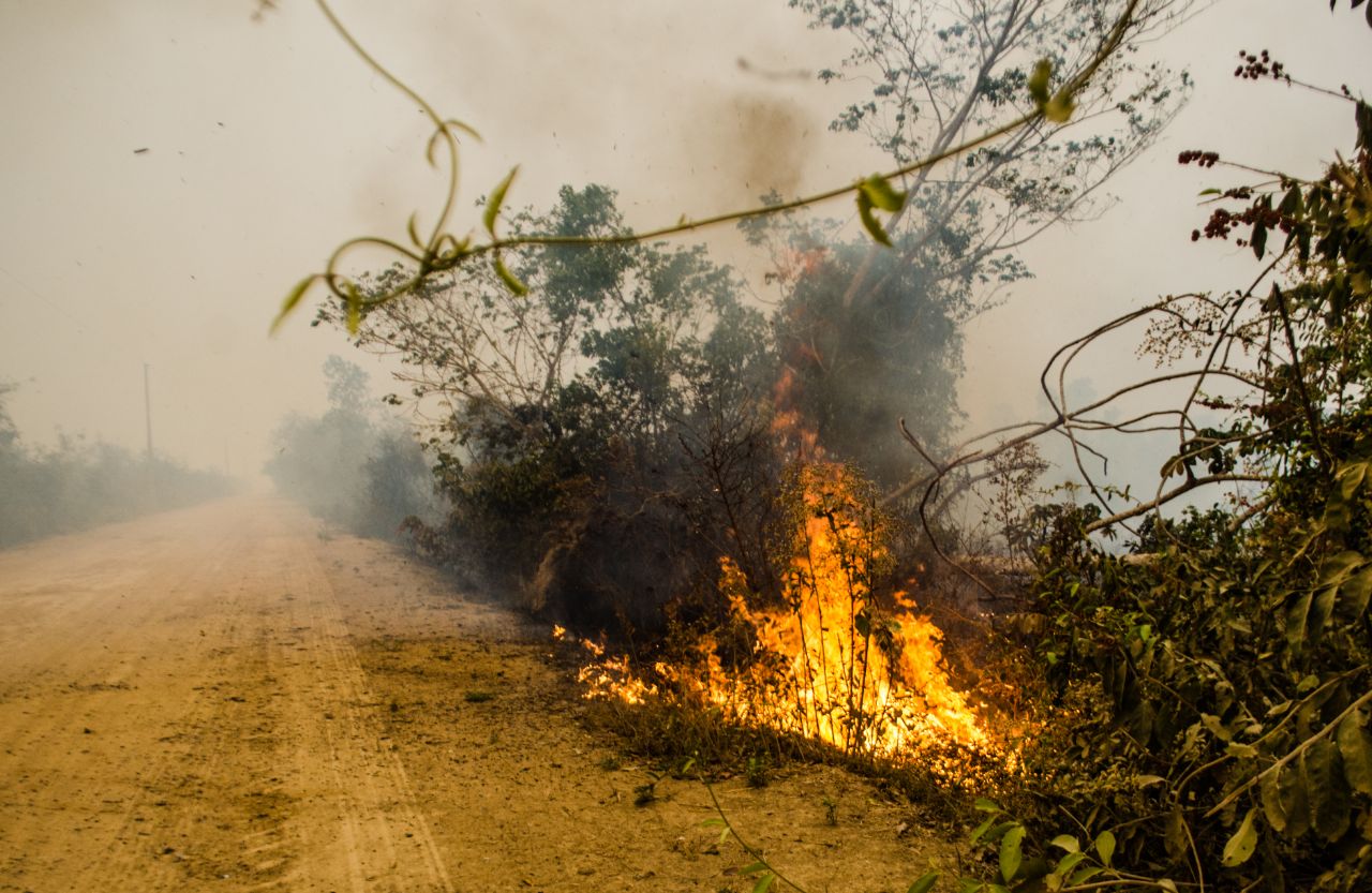 O Pantanal queima
