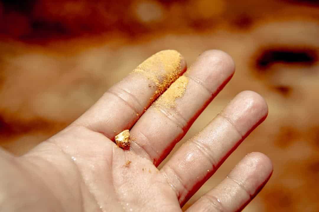 Ouro bruto encontrado através do garimpo - Foto: Henrique Silveira