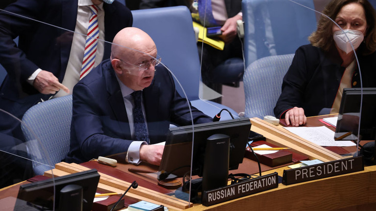 O enviado russo Vassily Nebenzia é mostrado falando durante uma reunião do Conselho de Segurança da ONU na segunda-feira em Nova York. © Tayfun Coskun/Agência Anadolu via Getty Images